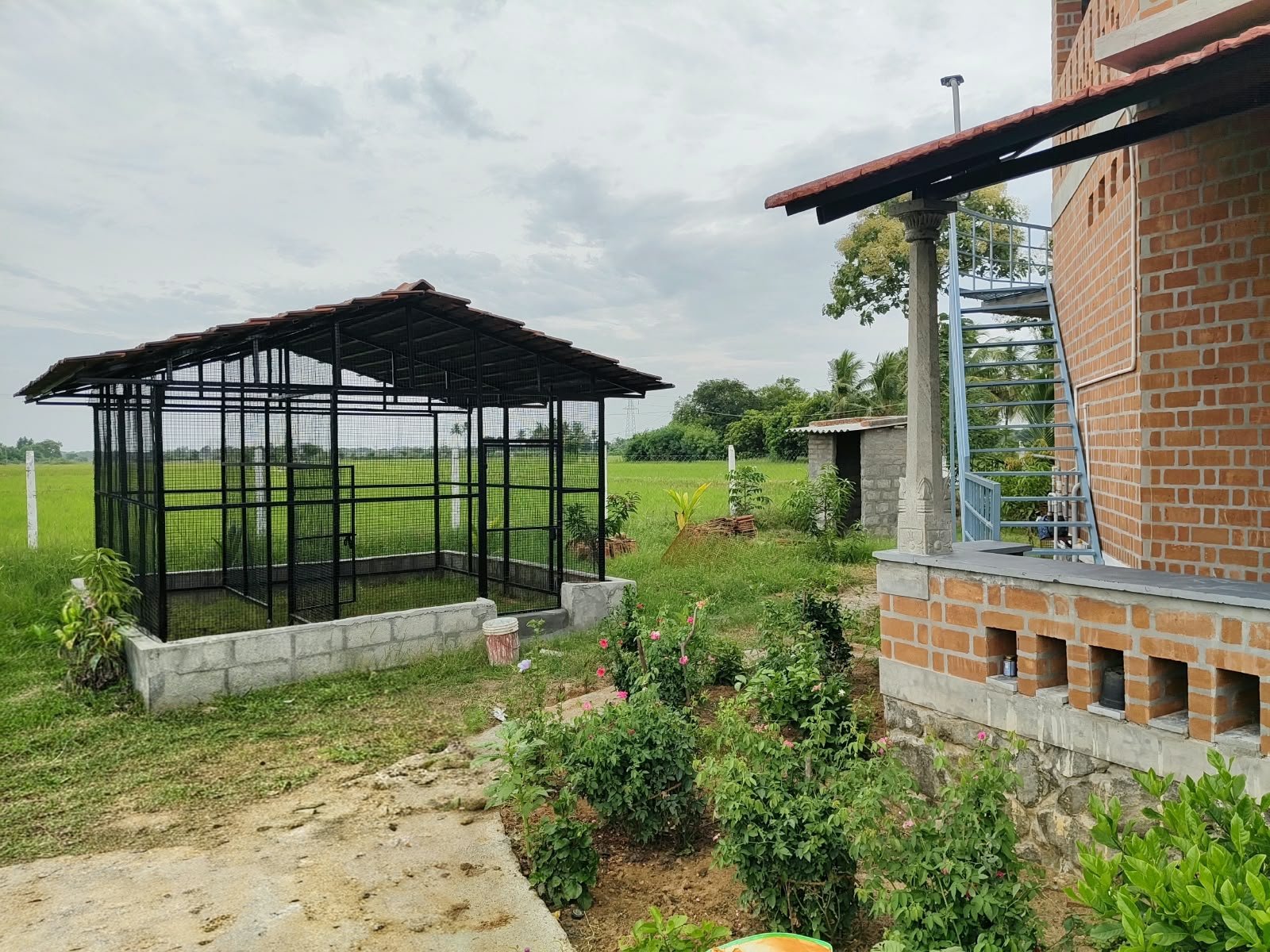 Bird aviary beside the farmhouse garden with paddy fields behind